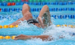 meeting natation 2015