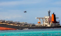 Pollution à Maurice