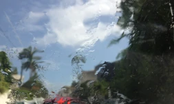 Pluie