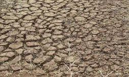 sécheresse