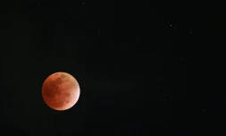 Éclipse de Lune - 7 septembre 2025
