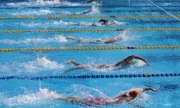 natation qualif 2017