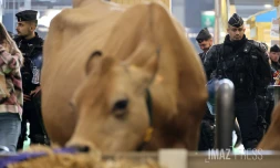 Heurts et sifflets au Salon de l'agriculture, les manifestants cherchent Macron [?]