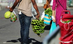 marché forain 