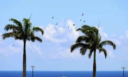 Météo Réunion 