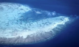 Vue aérienne prise le 4 avril 2024 d'un atoll de corail prÚs de l'ßle Lizard sur la Grande barriÚre de corail, à 270 km au nord de Cairns, en Australie ( AFP / DAVID GRAY )