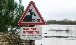 Un panneau "baignade interdite" à Saint-Gemmes-sur-Loire, le 14 juin 2026. (JEAN-MICHEL DELAGE / HANS LUCAS / AFP)