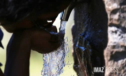 Eau robinet 