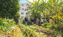 Photo Mairie du Port