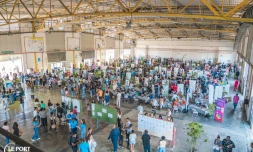 Villages de l’Emploi Jeunes