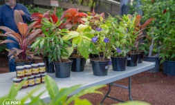 Jardins et Balcons Fleuris 2023 Le POrt