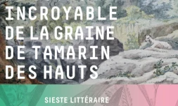 Sieste littéraire