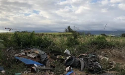 Band Cochon : 37 dépôts sauvages photographiés