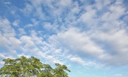 météo réunion 