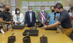 Petite Ile Département Signature de la convention plan 1 million d'arbres