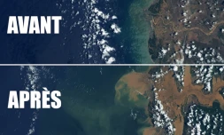 Chedza Ă Madagascar