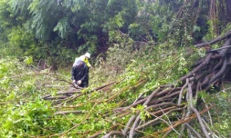 passage cyclone batsirai jeudi 3 février mairie entre-deux