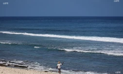 bord de mer 