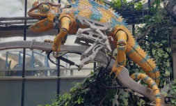 Nantes : un endormi mécanique rejoint les Machines de l'ßle