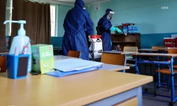 nettoyage école port