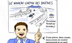Le coup de crayon de Joris