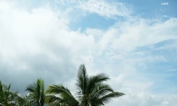 météo réunion 