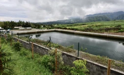 Casud - Réservoir Dassy