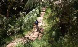 sentier