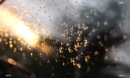 Pluie