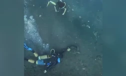 Dans l'eau... pas touche aux tortues