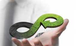 insertion professionnelle tco