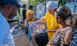 Le Port : les abeilles à l’honneur pour l'Apidays 2025 