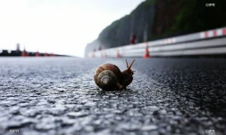 Eboulis route du littoral 