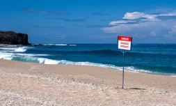 Baignade non-autorisée à la plage de Boucan Canot 