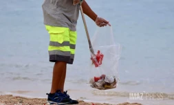 Nettoyage des plages 1er janvier 2024