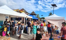  Saint-Gilles : près de 700 visiteurs aux rendez-vous des baleines