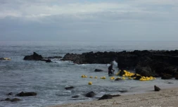 Boucan Canot - Filet anti-requins