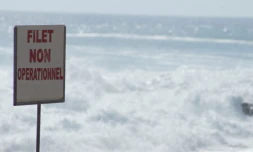 terdiction de baignade aux Roches Noires
