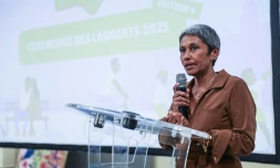 Saint-Denis, budget participatif