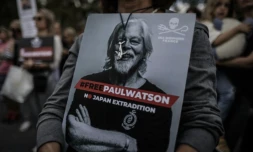 Une femme tient une pancarte avec l'inscription "#LibérezPaulWatson - Pas d'extradition vers le Japon" écrite sur une photo de Paul Watson, fondateur de l'ONG Sea Shepherd, lors d'une manifestation de soutien à Paris le 4 septembre 2024 ( AFP / Thibaud MORITZ )