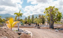 Rivière des Galets : visite de l'agence régionale de la biodiversité 