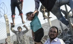 Visa pour l\'image 2015