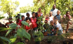 Plantation de plantes endémiques