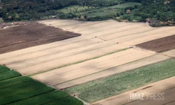 terrain agricole ouest 