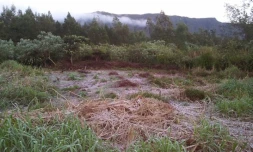 Givre à Grand Coude
