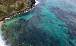 Vue aérienne de la zone de Valle Seco, État d'Aragua, où une colonie du corail mou Unomia stolonifera a été détectée, prise le 21 avril 2023