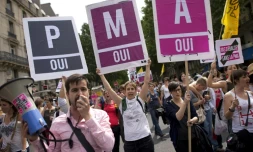 Manifestation pro PMA pendant la Gay Pride, le 29 juin 2013 à Paris