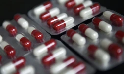 Une fois qu'une infection par une bactérie résistante aux antibiotiques s'installe, elle peut être dure à diagnostiquer, et surtout à traiter ( AFP / LOIC VENANCE )