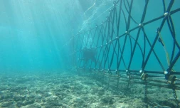 filets Subsea-tec