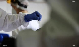 test coronavirus 